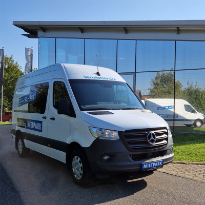 Transporter Sprinter Kasten 1